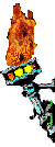 torch9[1].gif (7393 octets)